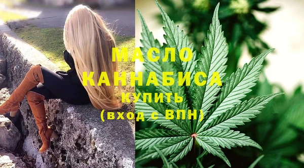 мдпв Козельск